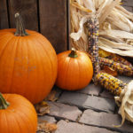 fall festivals and events