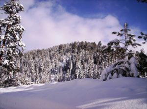 Some cities are closing sledding hills for fear of litigation.