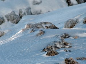 Rocks are common in off-piste skiing.