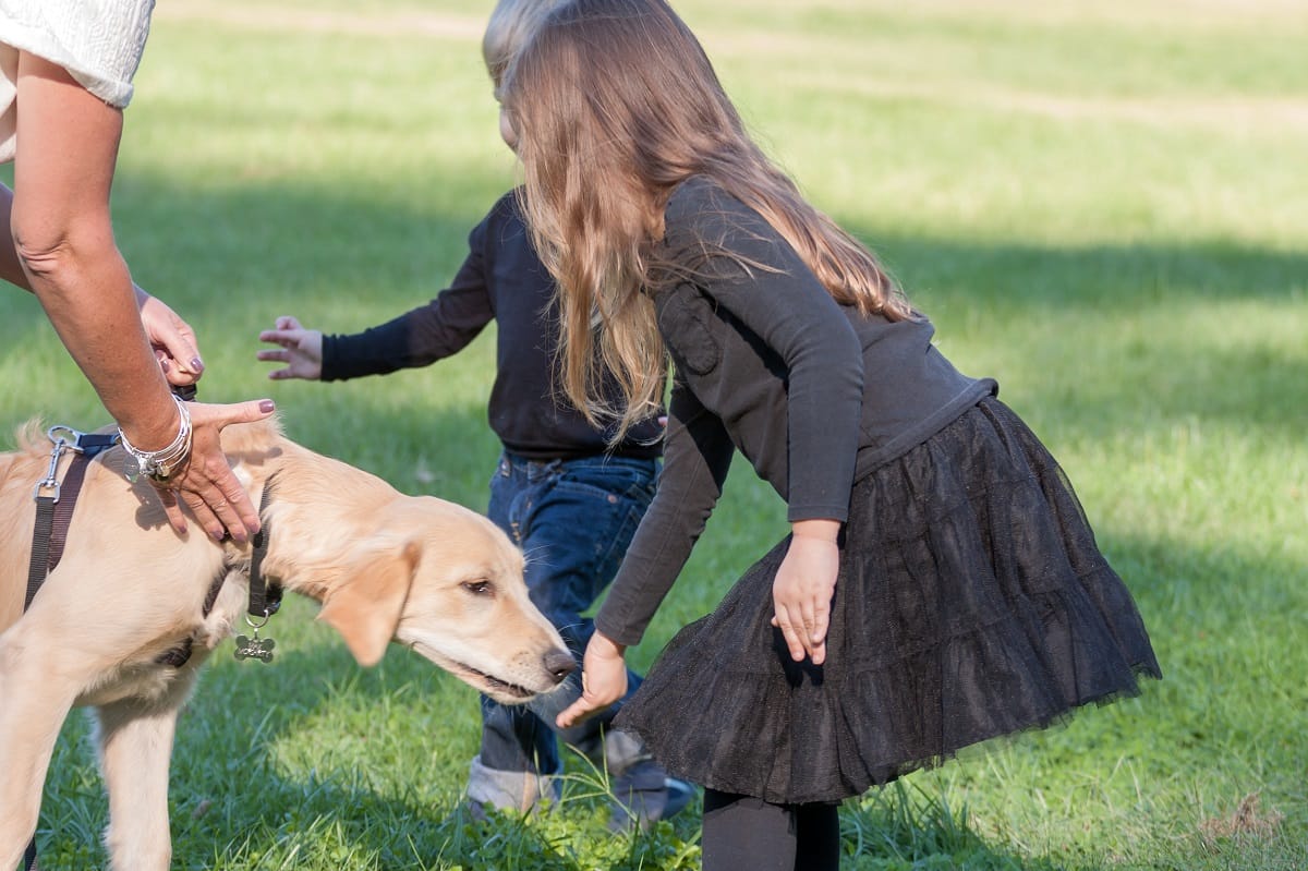 Dog-park-children-child.jpg