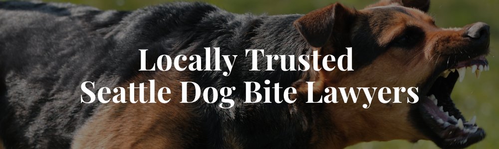 Locally Trusted Seattle Dog Bite Lawyers