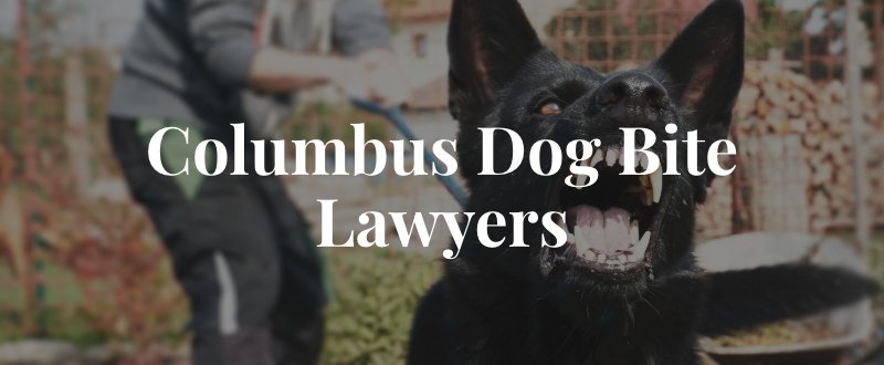 Columbus Dog Bite Lawyer