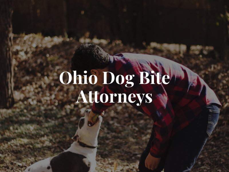 Ohio Dog Bite Lawyers