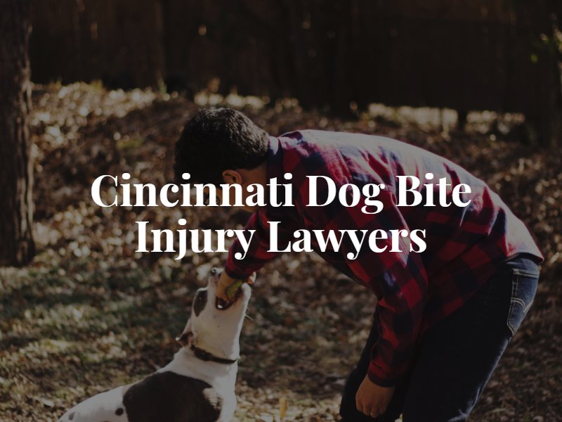 Cincinnati Dog Bite Lawyer